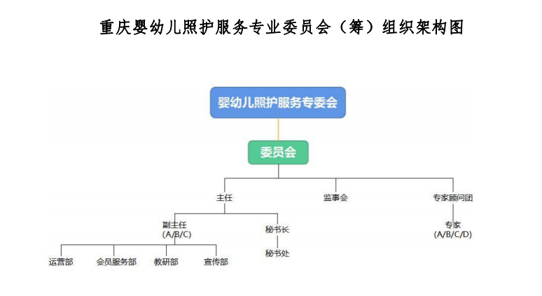 重慶市繼續(xù)教育學(xué)會(huì)嬰幼兒照護(hù)服務(wù)專(zhuān)業(yè)委員會(huì)