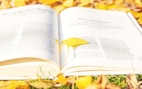 成人自考成績(jī)公布時(shí)間是什么時(shí)候？