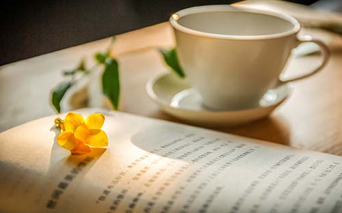 為什么很多人選擇自考？