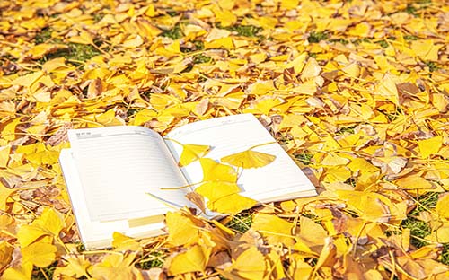 自學(xué)考試有哪些事項需要注意？