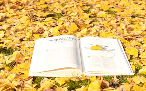 自考專業(yè)?？荚趺崔k?