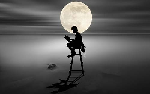 怎么查詢西藏自考成績？