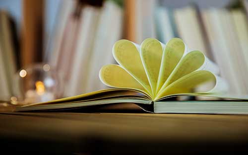 自考專升本該怎么學(xué)習(xí)課程知識(shí)點(diǎn)？