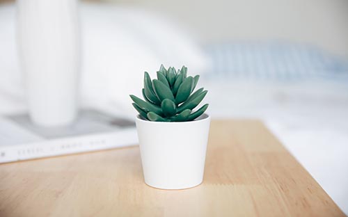 自學(xué)考試信息錯誤可以修改嗎？