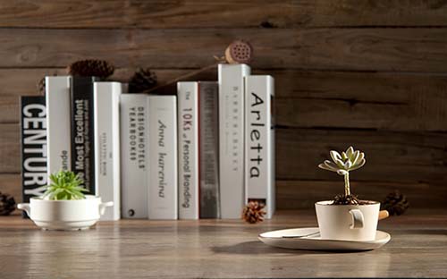 自考先選專業(yè)還是先選學(xué)校?