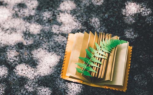 自考生沒有學(xué)位證嗎？