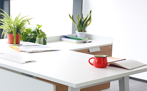 山東自考本科報(bào)名官網(wǎng)是哪個(gè)？