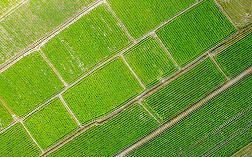 自考學(xué)前教育專業(yè)就業(yè)方向有哪些？