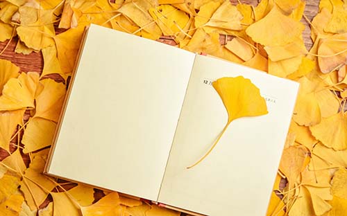 自考學(xué)校怎么選合適的？