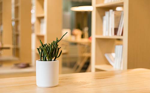 自考本科畢業(yè)論文答辯流程有什么？