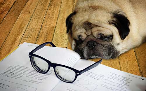 自學(xué)考試通過率是怎么樣？