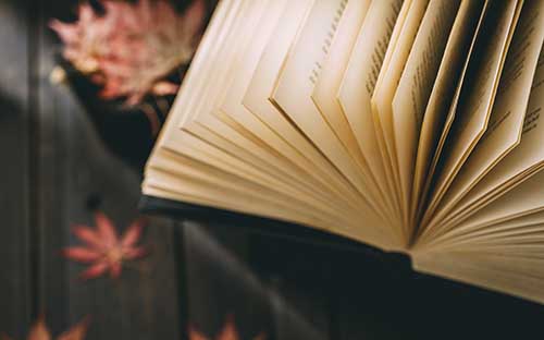 自考本科什么時(shí)候可以申請(qǐng)學(xué)位？