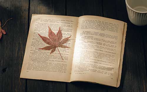 成人高考藝術類什么專業(yè)就業(yè)好？
