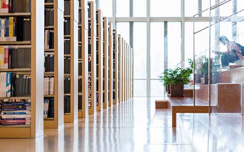 蓮都區(qū)成人高考在網(wǎng)上怎么報(bào)名？要注意什么？