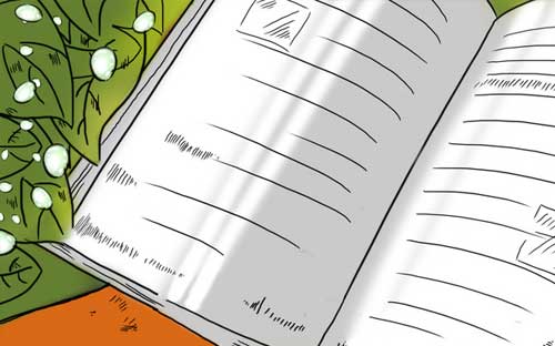 中國留學(xué)生能去澳洲讀書嗎 一起來看！