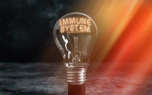 美國羅德島設(shè)計(jì)學(xué)院世界大學(xué)排名，強(qiáng)勢專業(yè)推薦