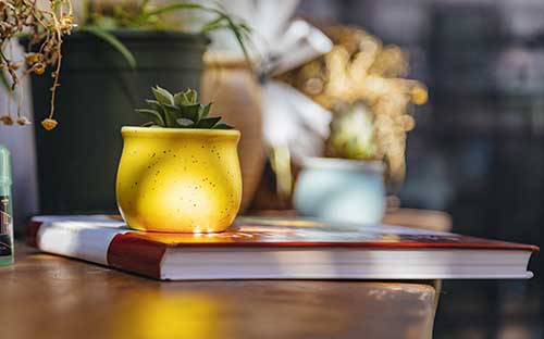 風(fēng)景園林專業(yè)全球排名 風(fēng)景園林專業(yè)全球排名