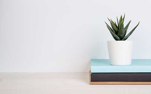 影視制作專業(yè)去哪里留學好