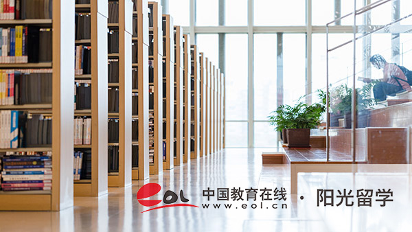 意大利數(shù)字媒體藝術(shù)專業(yè)有哪些錄取條件