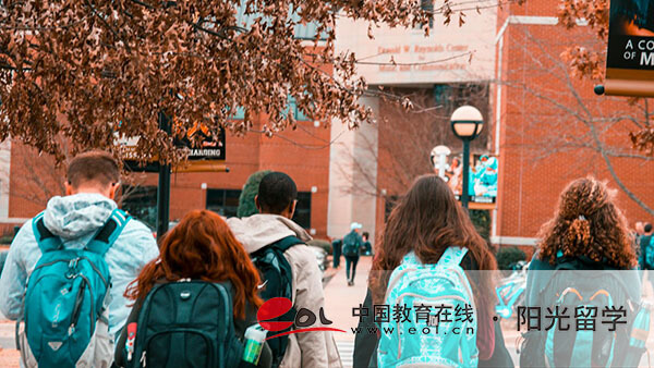 英國生物藝術(shù)專業(yè)研究生留學(xué)有哪些條件