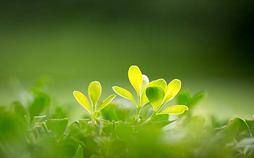 雅思幾月報考最好 雅思考試注意事項(xiàng)