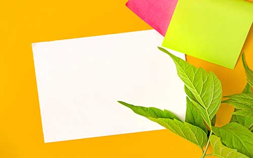 自考生怎么查學(xué)籍檔案？檔案怎么處理？